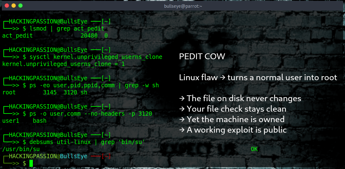 /pedit-cow-linux-root/pedit-cow-linux-kernel-root.png