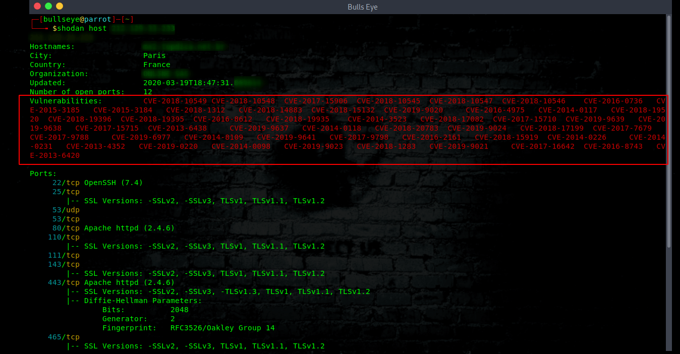 shodan vulnerabilities